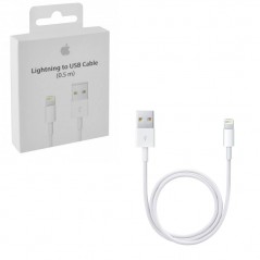 Acquista Apple Cavo Lightning 0.5mt ME291ZM/A su Smartness