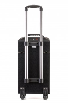 AUDIODESIGN PRO M3 10w/l Diffusore Portatile 10" a batteria completo di  2 microfoni wireless - Potenza Max 250 W