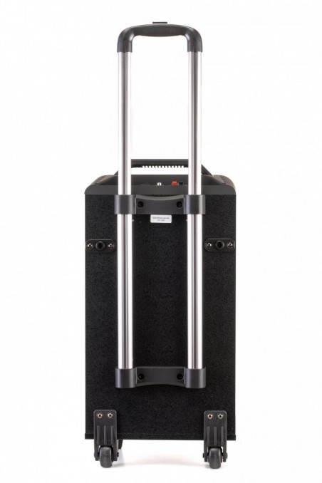 AUDIODESIGN PRO M3 10w/l Diffusore Portatile 10" a batteria completo di  2 microfoni wireless - Potenza Max 250 W