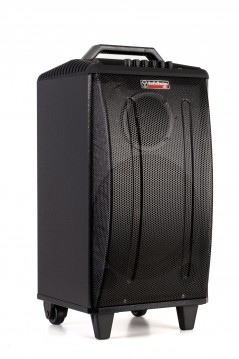 Acquista AUDIODESIGN PRO M3 10w/l Partybox Portatile 10" a batteria con 2 microfoni wireless - Potenza Max 250W in vendita