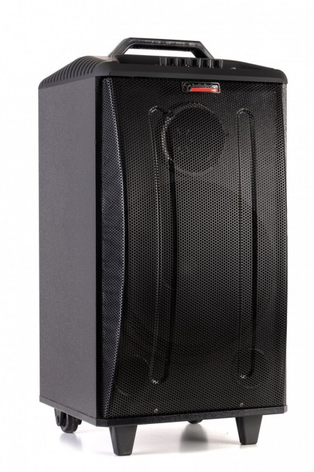 Buy AUDIODESIGN PRO M3 12W/L Diffusore Portatile a Trolley a batteria completo di 2 microfoni wireless - Potenza Max 350 W onlin
