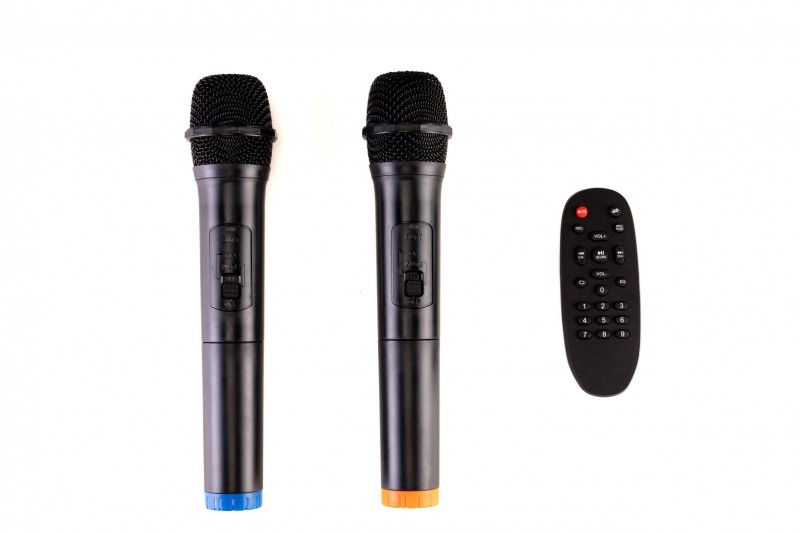 AUDIODESIGN PRO M3 12W/L Portable Battery-Powered Party Box with 2 Wireless Microphones - Max Power 350W