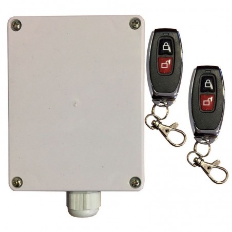 BRAVO Garden Light Kit with 433MHz Dual-Channel Receiver and 2 Remote Controls