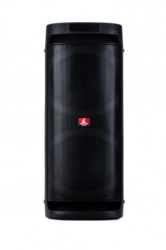 Acquista AUDIODESIGN PRO Partybox Speaker DJ206 Bluetooth Portatile Effetti Luce Cassa Altoparlante su Smartness