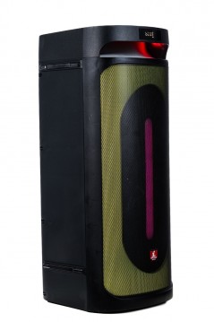  AUDIODESIGN PRO Partybox Speaker DJ208 Portable Bluetooth Speaker with Light Effects