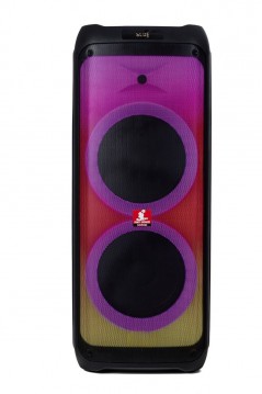 Buy AUDIODESIGN PRO Partybox Speaker DJ212S Bluetooth Portatile Effetti Luce Cassa Altoparlante online