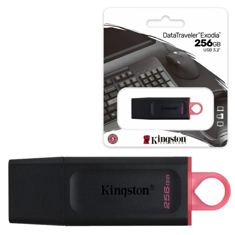 Kingston Pen Drive Usb 3.2 DTX 256GB
