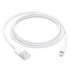 Acquista Apple Cavo Lightning to Usb 1mt MXLY2ZM/A Bulk in vendita