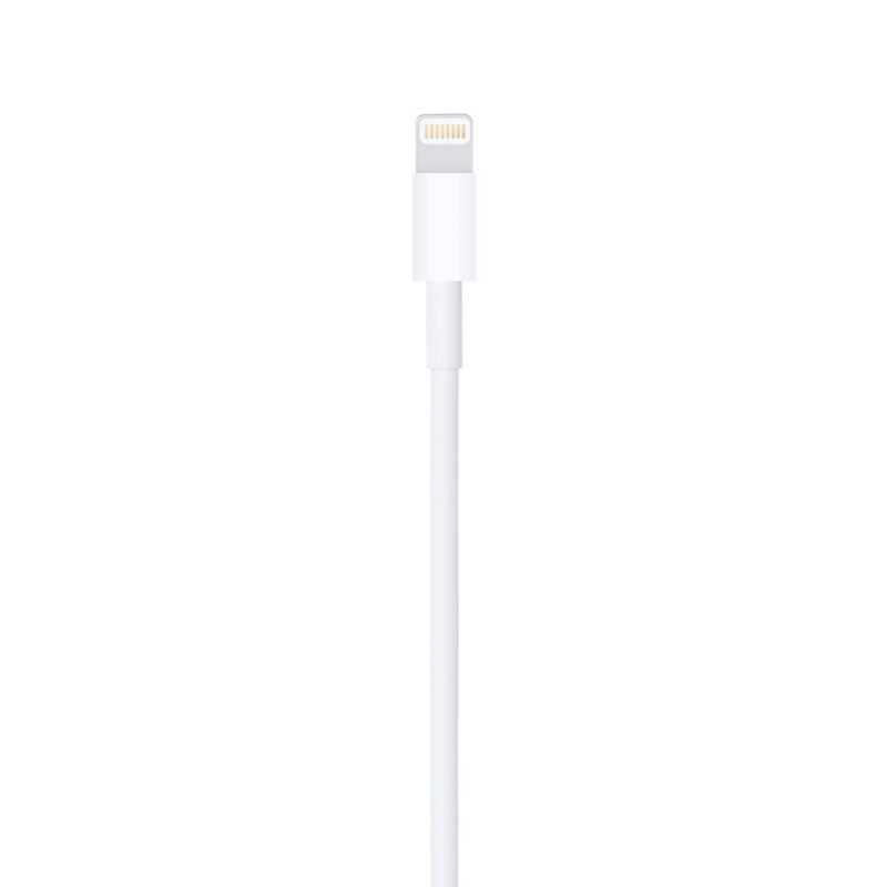 Cavo USB-A a Lightning MD819 Compatibile per Apple iPhone 2mt | Bulk