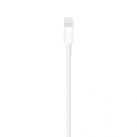 Cavo USB-A a Lightning MD819 Compatibile per Apple iPhone 2mt | Bulk
