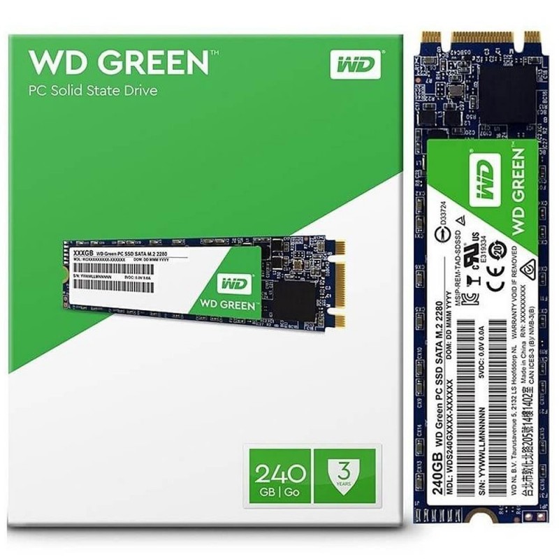 Western Digital WD SSD da 240GB SATA M.2 2280 Solid State Drive Unità Interna Verde